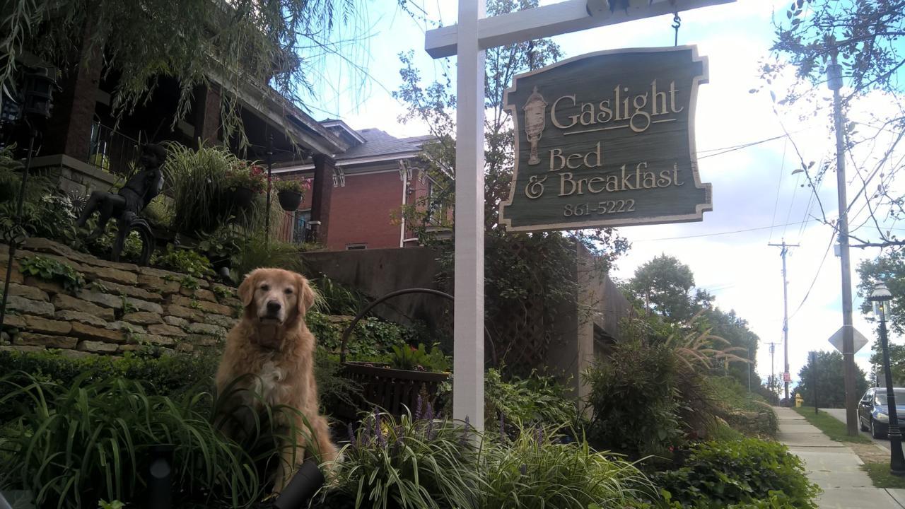 Gaslight Bed&Breakfast Cincinnati Exterior foto